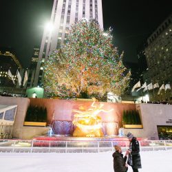 049_IMG_8648_049